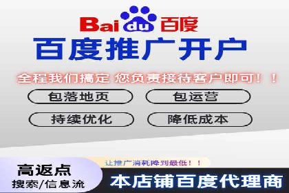 百度推广效果监测与持续优化的真实案例